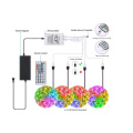 All in One Set Waterproof 5m Strip 44Key IR Remote Controller and 12V 5A power supply RGB Flexible 5050 LED Strip Light